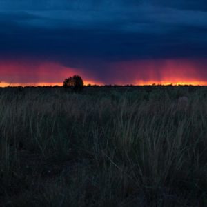 delaware-county-emergency-management-agency-hero